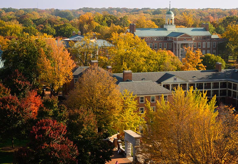 Wake Forest University campus